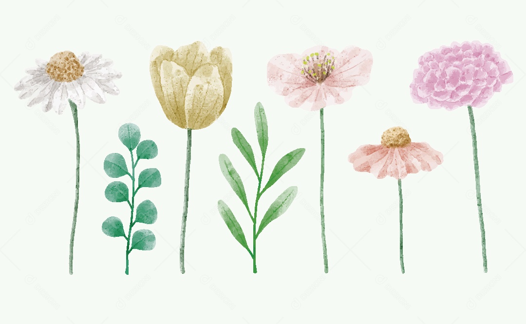 Conjunto de Flores Ilustrações Vetor EPS