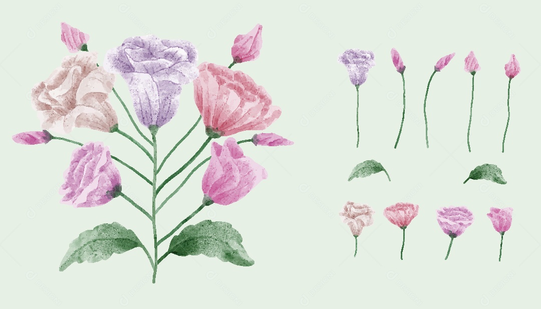 Conjunto de Flores Ilustrações Vetor EPS