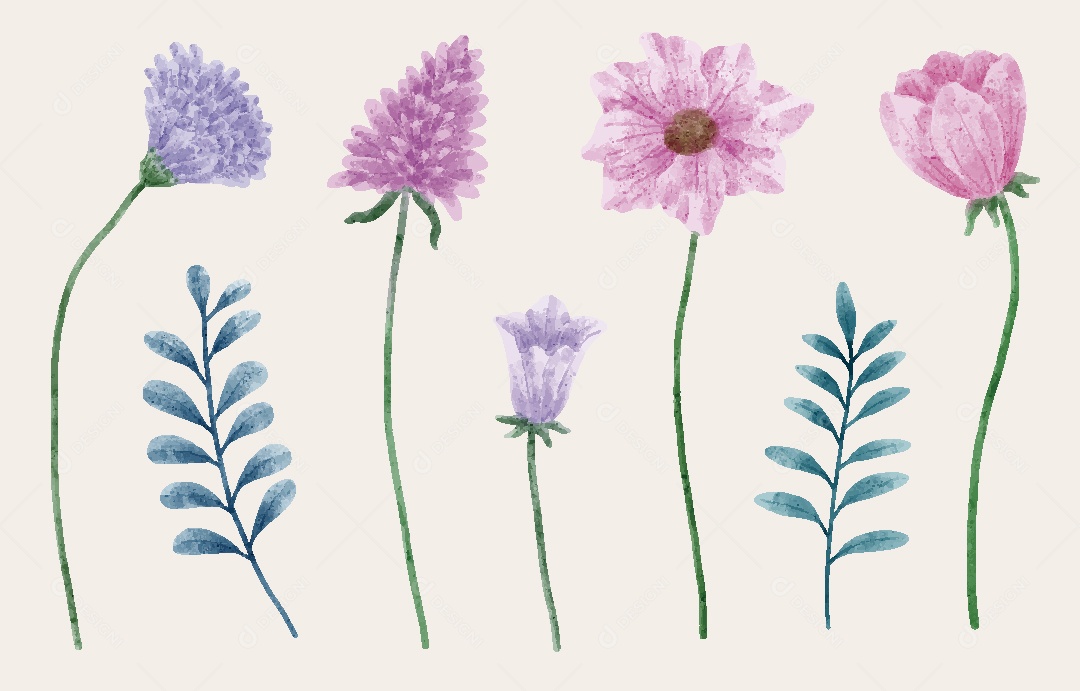 Conjunto de Flores Ilustrações Vetor EPS