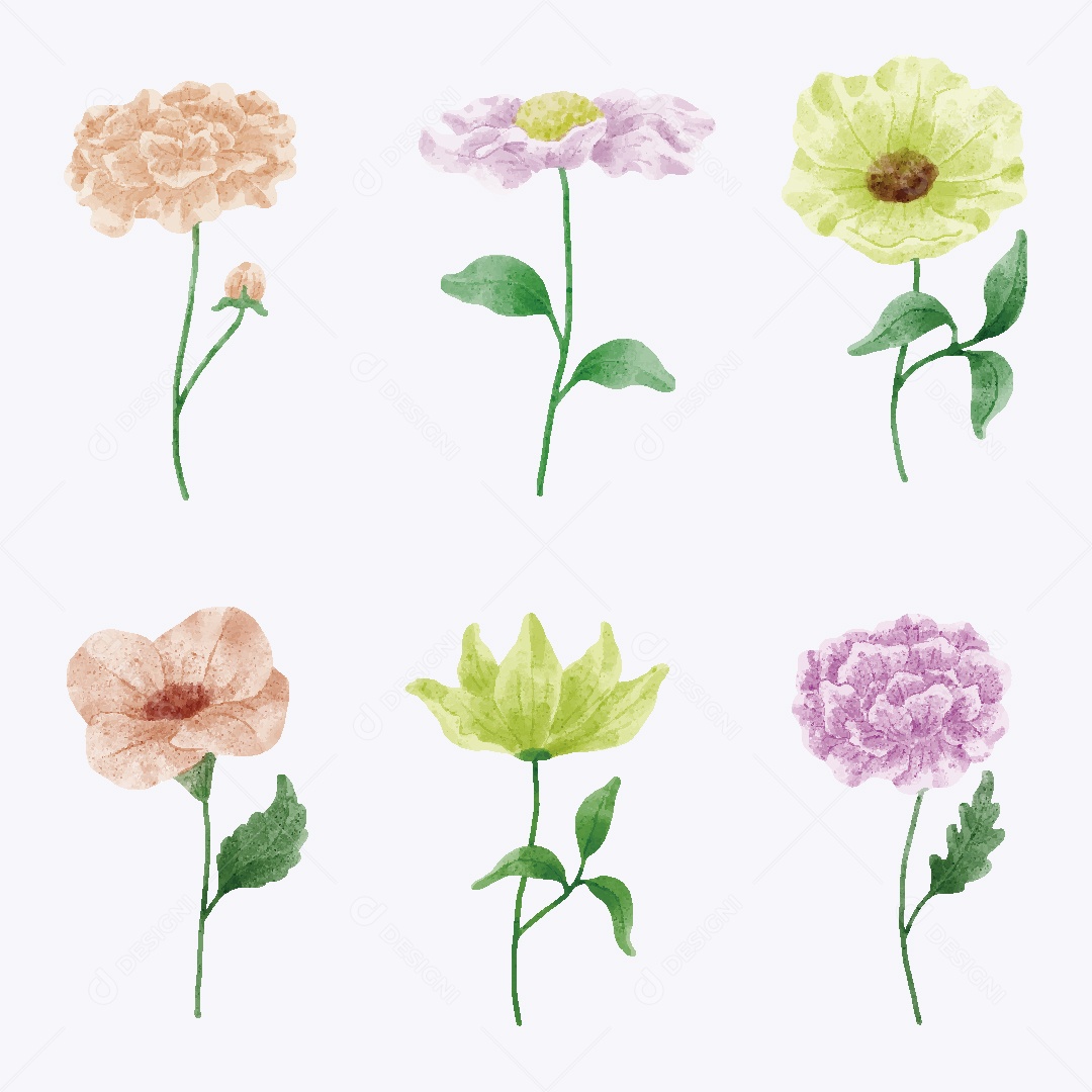 Conjunto de Flores Ilustrações Vetor EPS