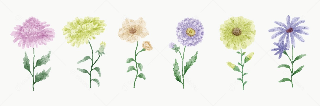 Conjunto de Flores Ilustrações Vetor EPS