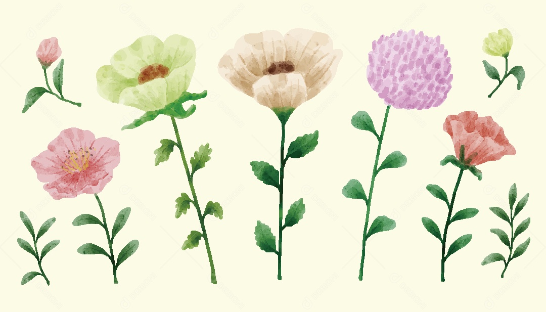 Conjunto de Flores Ilustrações Vetor EPS