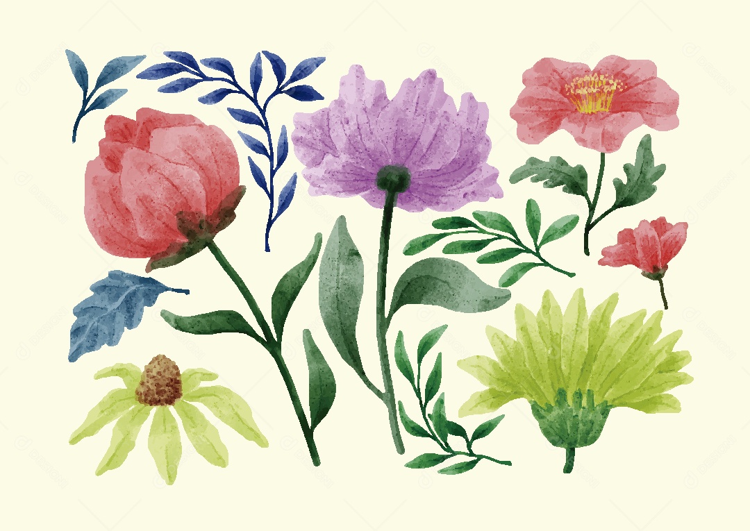 Conjunto de Flores Ilustrações Vetor EPS