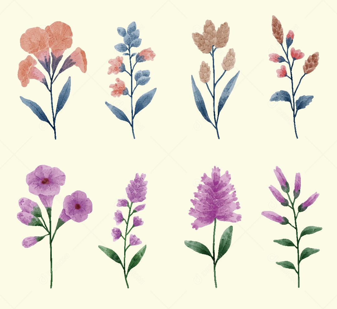 Conjunto de Flores Ilustrações Vetor EPS