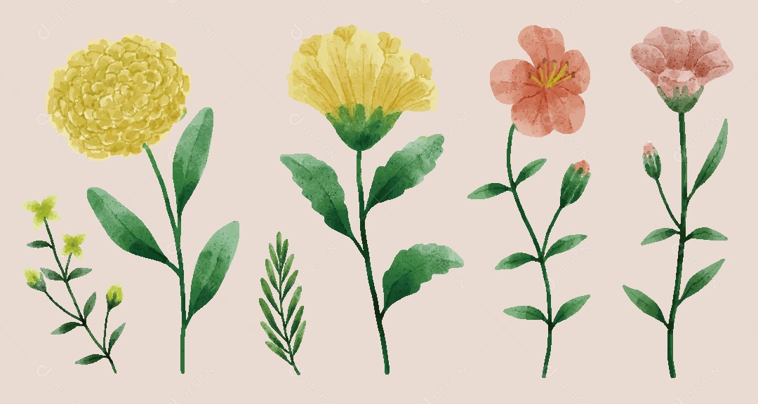 Conjunto de Flores Ilustrações Vetor EPS