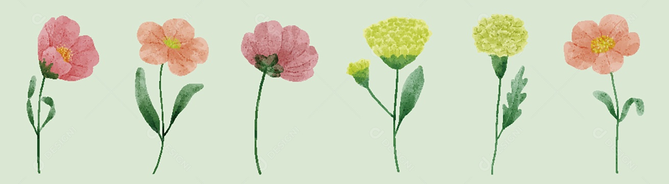 Conjunto de Flores Ilustrações Vetor EPS