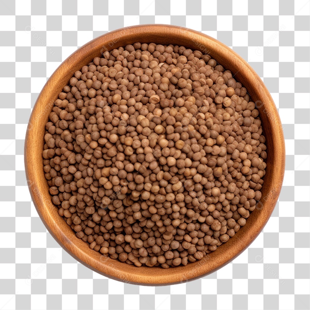 Vasilha com Ração Animal PNG Transparente