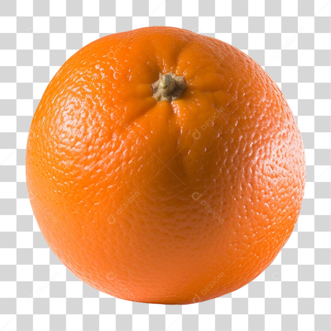 Fruta Laranja PNG Transparente