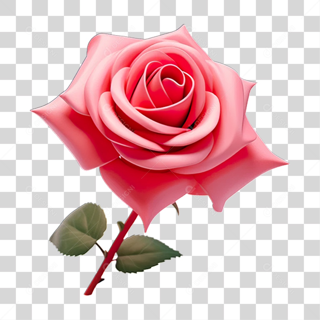 Flores Rosas Plantas PNG Transparente