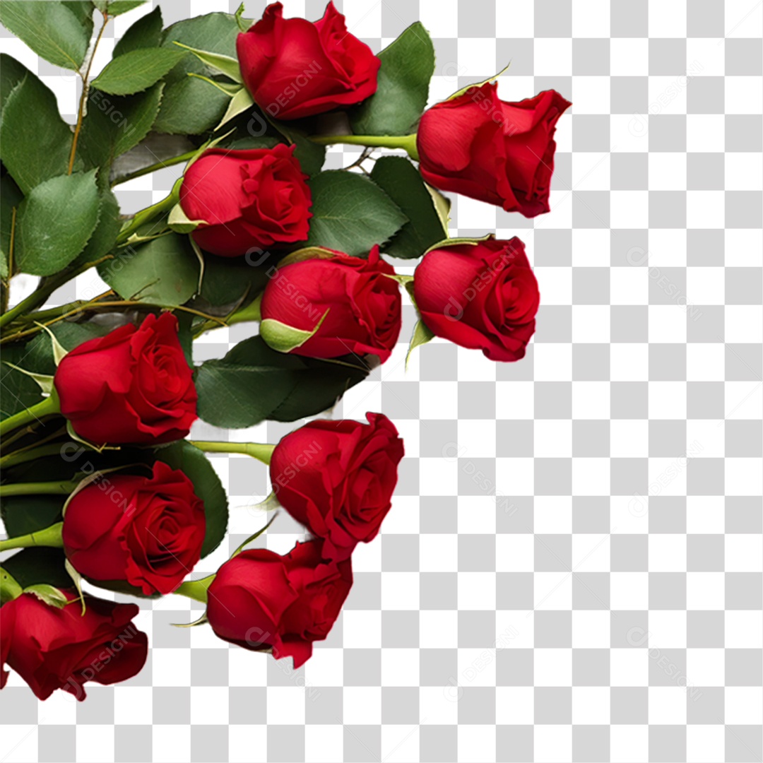 Flores Rosas Plantas PNG Transparente