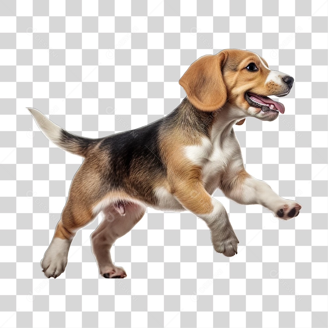 Cachorro Pet Animal de Estimação PNG Transparente