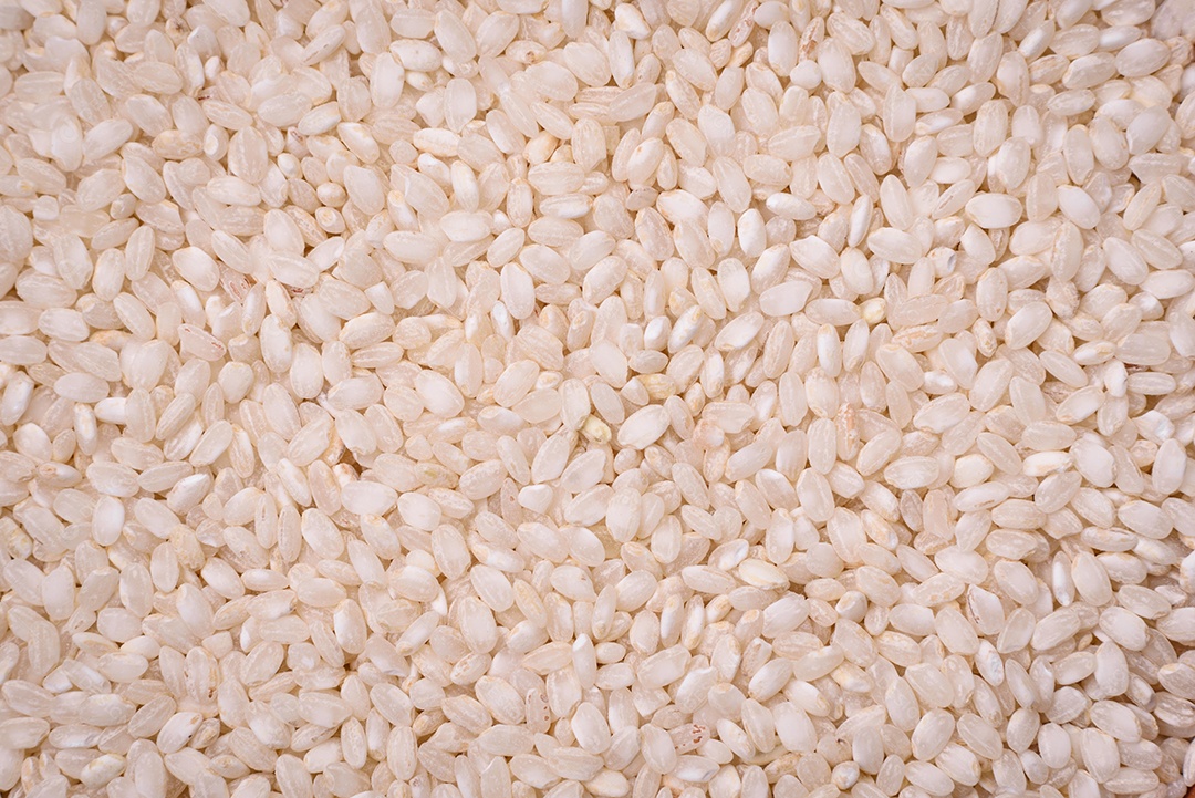 Arroz branco cru em uma tigela redonda de cerâmica sobre um fundo escuro de concreto. Cozinhar comida asiática