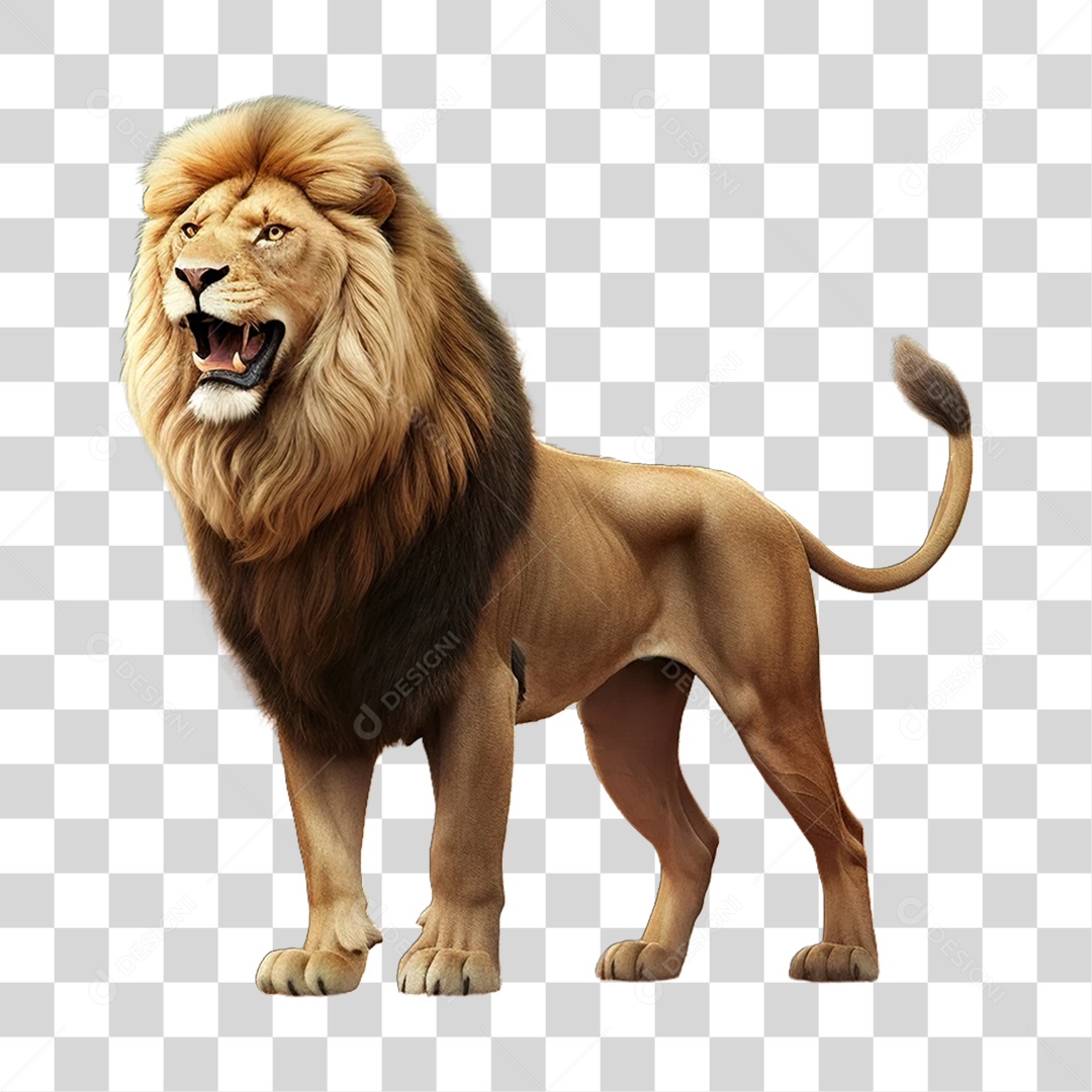 Animal Silvestre Leão Predador PNG Transparente
