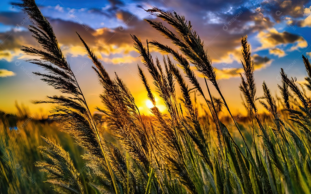 Linda paisagem com pôr do sol com céu nublado