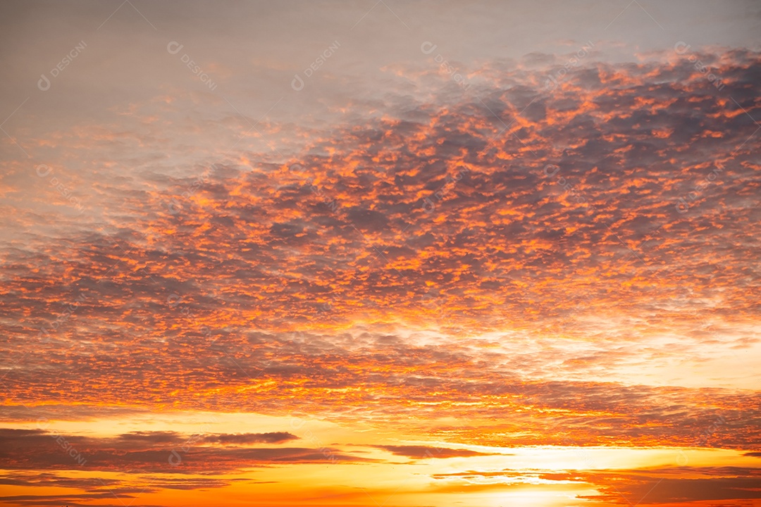 Lindo céu ao entardecer