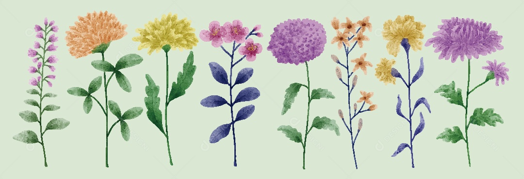 Conjunto de Flores em Aquarelas Ilustrações Vetor EPS