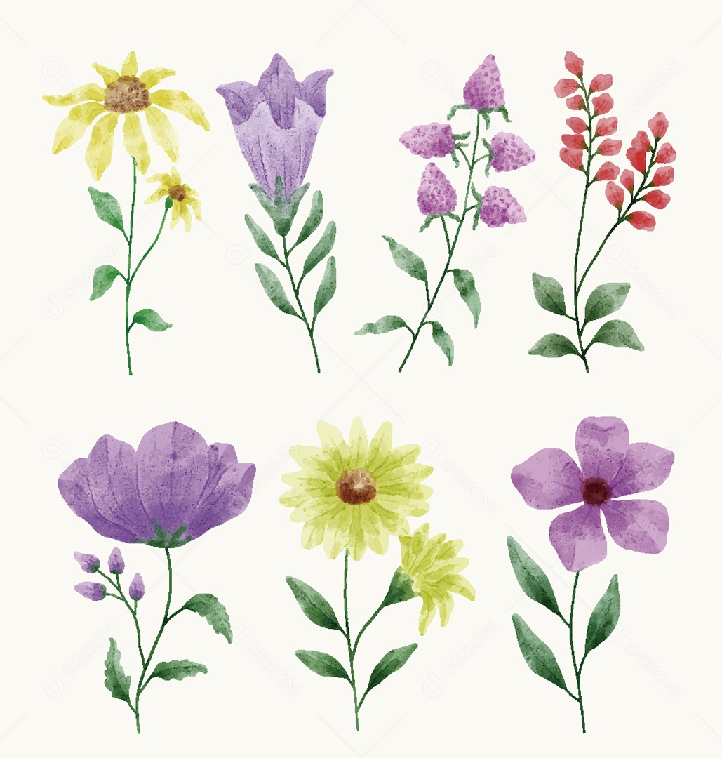 Conjunto de Flores em Aquarelas Ilustrações Vetor EPS