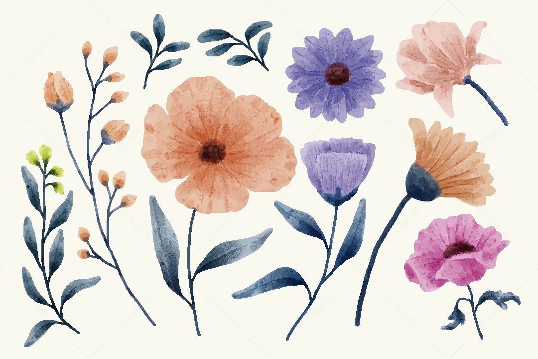 Conjunto de Flores em Aquarelas Ilustrações Vetor EPS