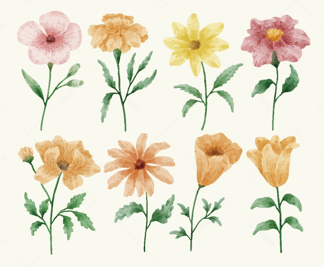 Conjunto de Flores em Aquarelas Ilustrações Vetor EPS