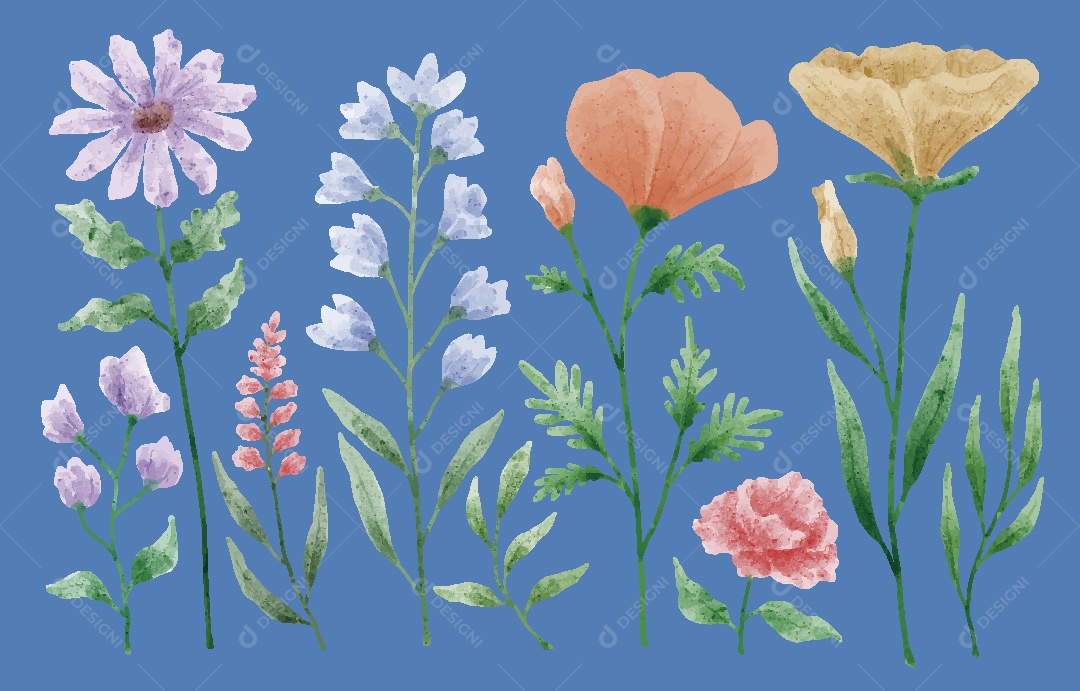 Conjunto de Flores em Aquarelas Ilustrações Vetor EPS