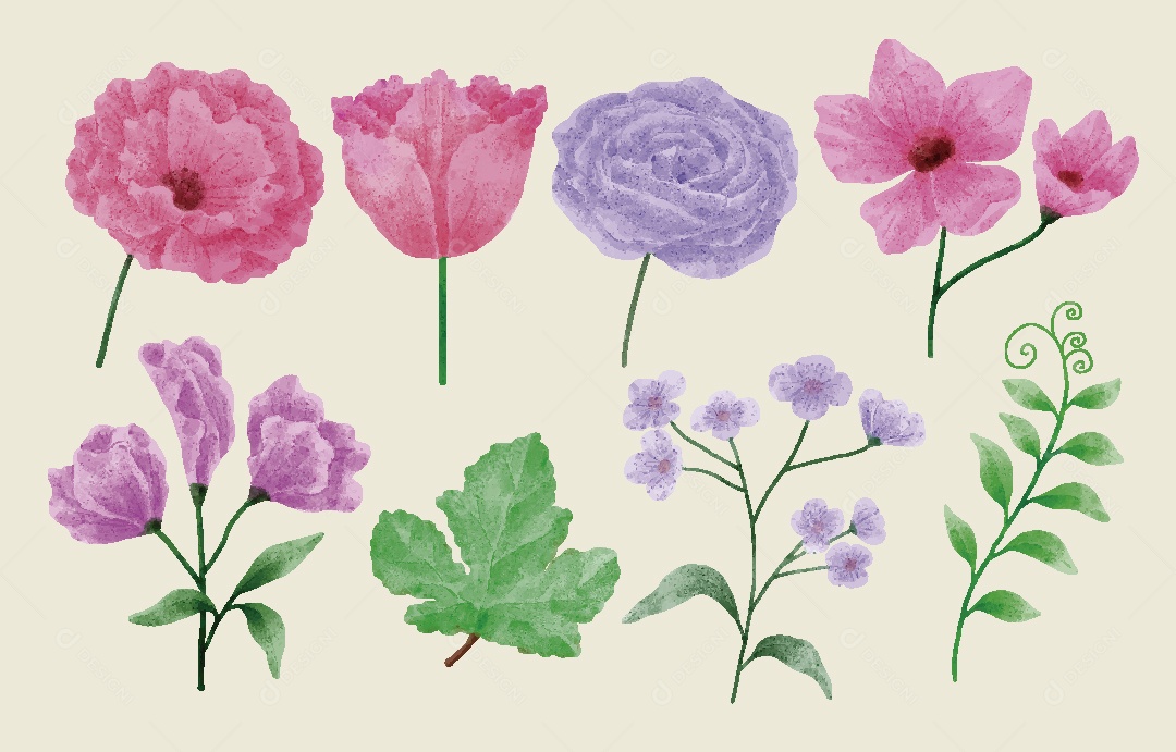 Conjunto de Flores em Aquarelas Ilustrações Vetor EPS