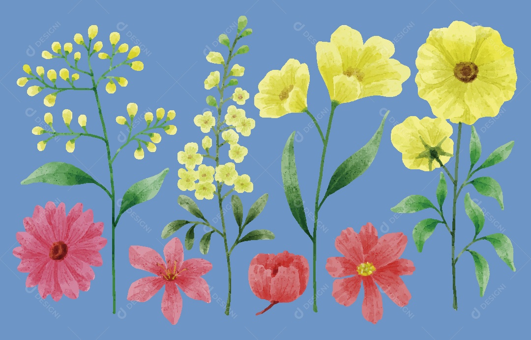 Conjunto de Flores em Aquarelas Ilustrações Vetor EPS