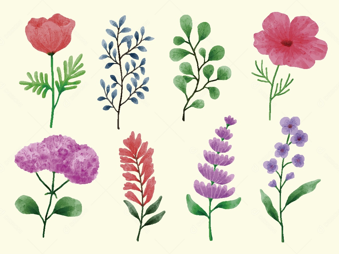 Conjunto de Flores em Aquarelas Ilustrações Vetor EPS