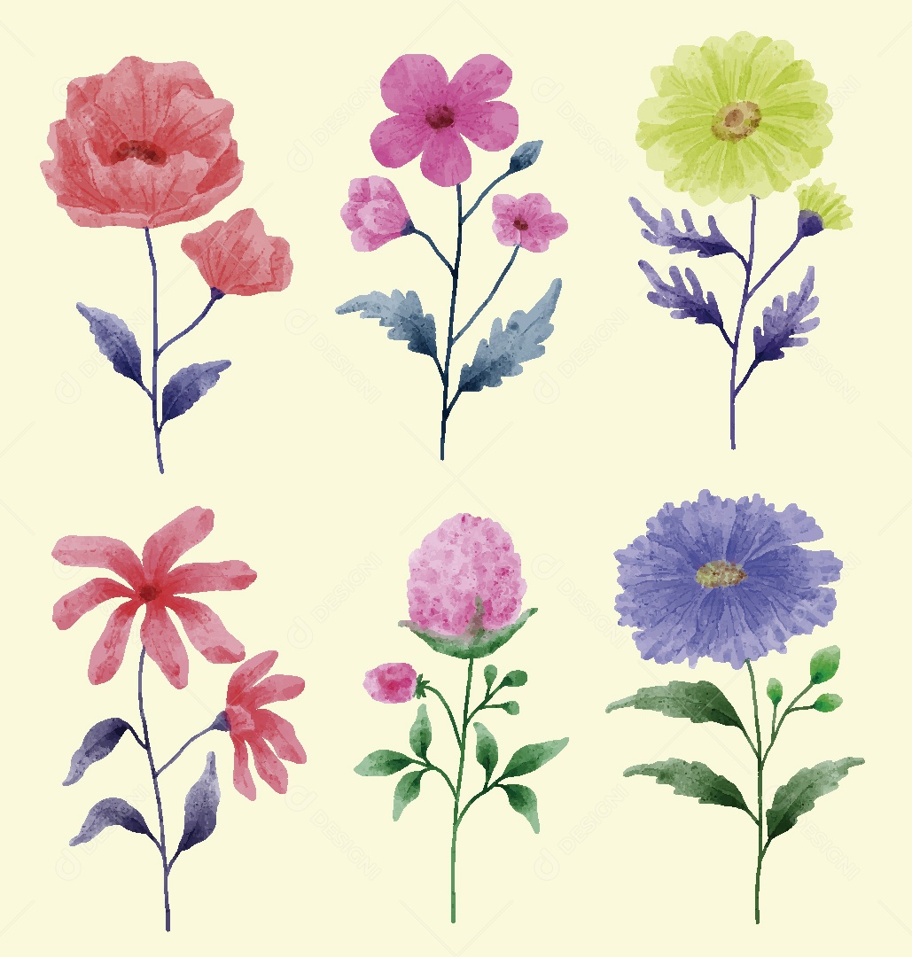 Conjunto de Flores em Aquarelas Ilustrações Vetor EPS