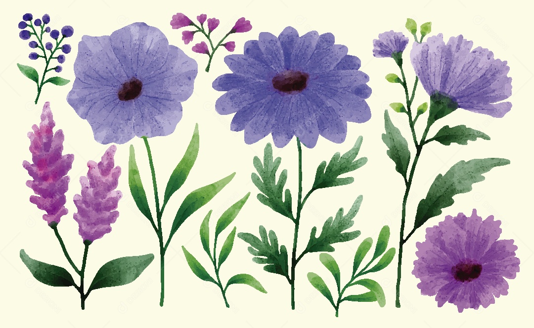 Conjunto de Flores em Aquarelas Ilustrações Vetor EPS