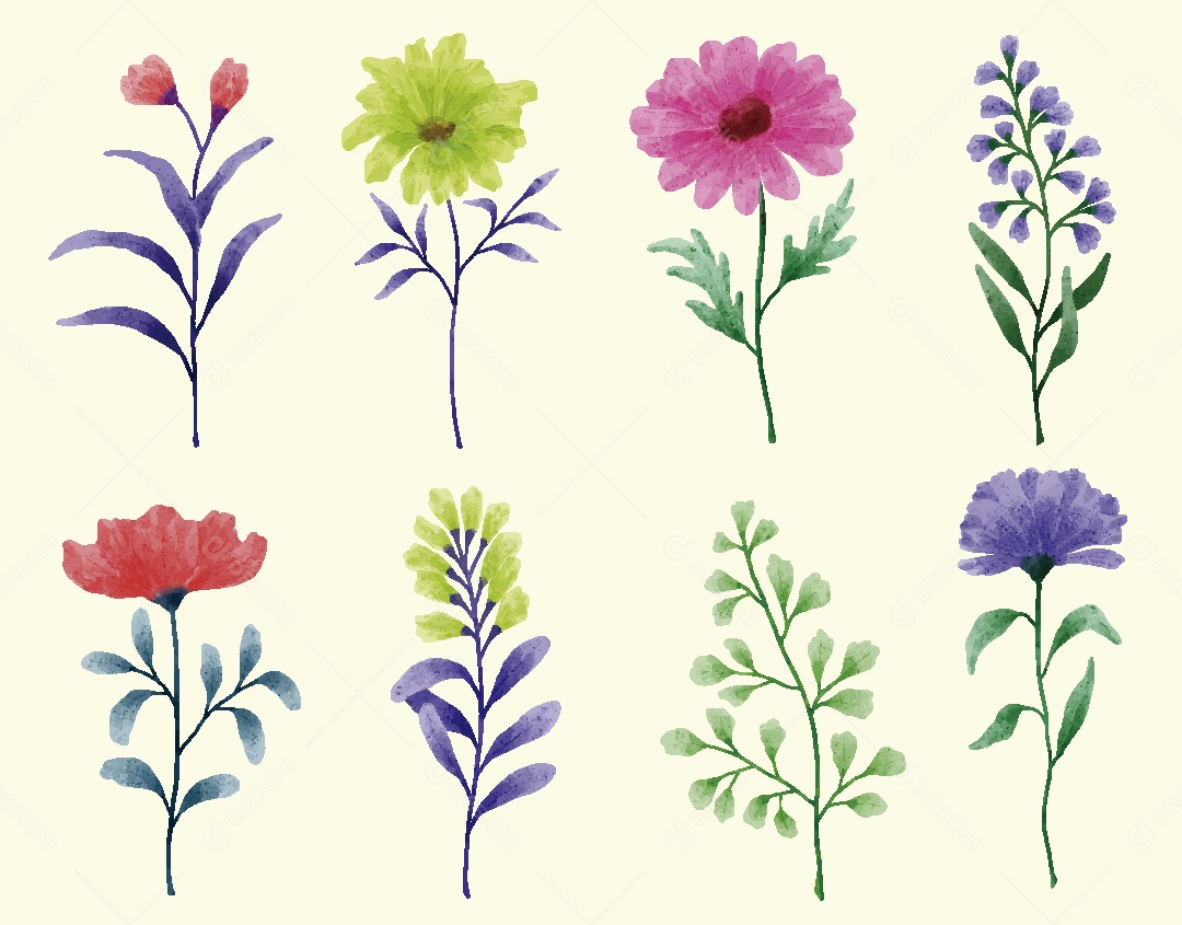 Conjunto de Flores em Aquarelas Ilustrações Vetor EPS