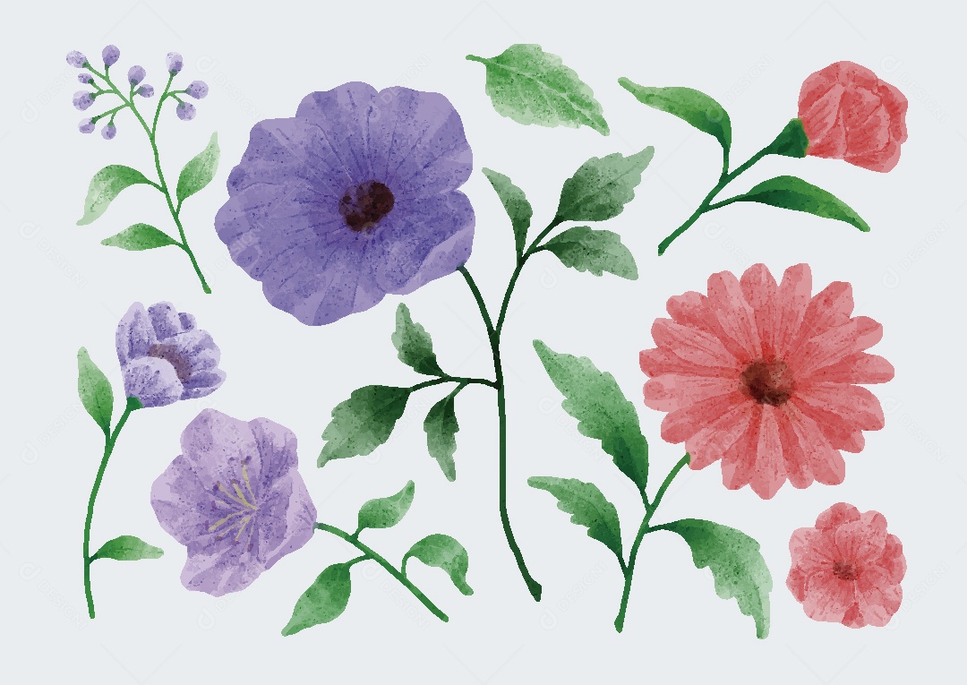 Conjunto de Flores em Aquarelas Ilustrações Vetor EPS