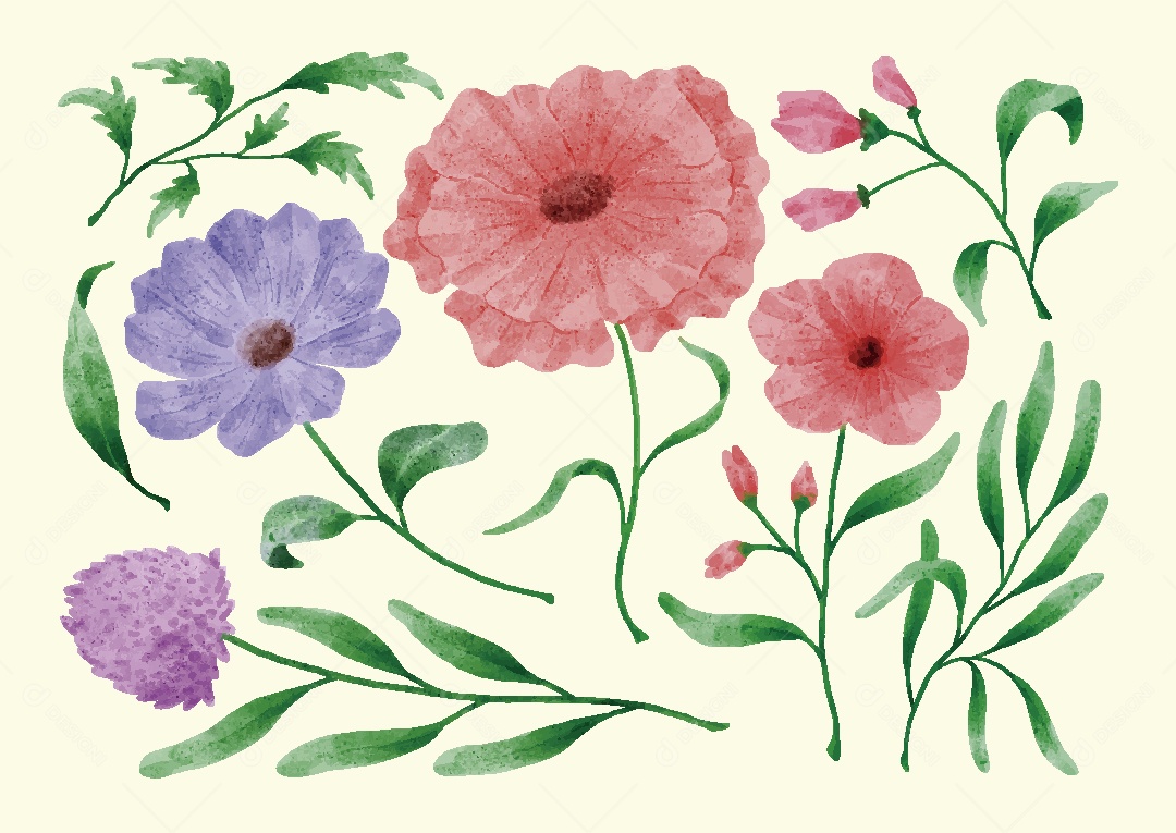 Conjunto de Flores em Aquarelas Ilustrações Vetor EPS