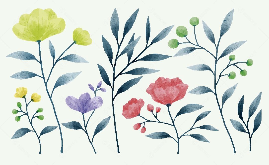 Conjunto de Flores em Aquarelas Ilustrações Vetor EPS