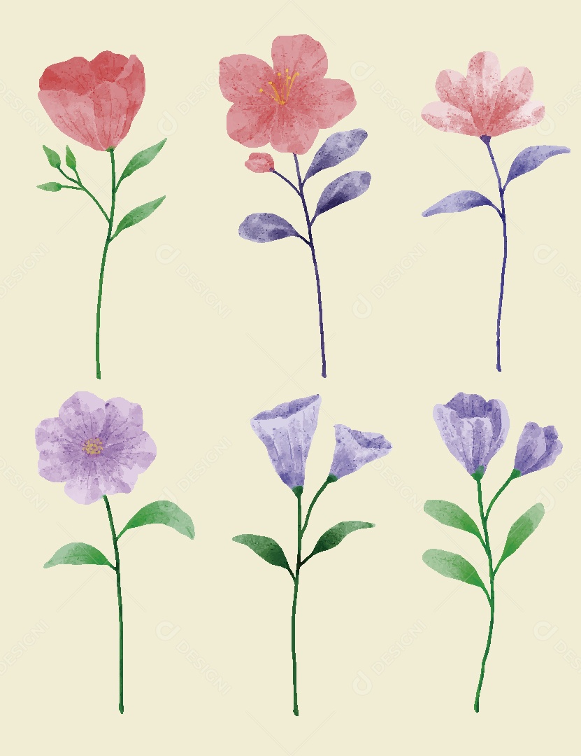 Conjunto de Flores em Aquarelas Ilustrações Vetor EPS