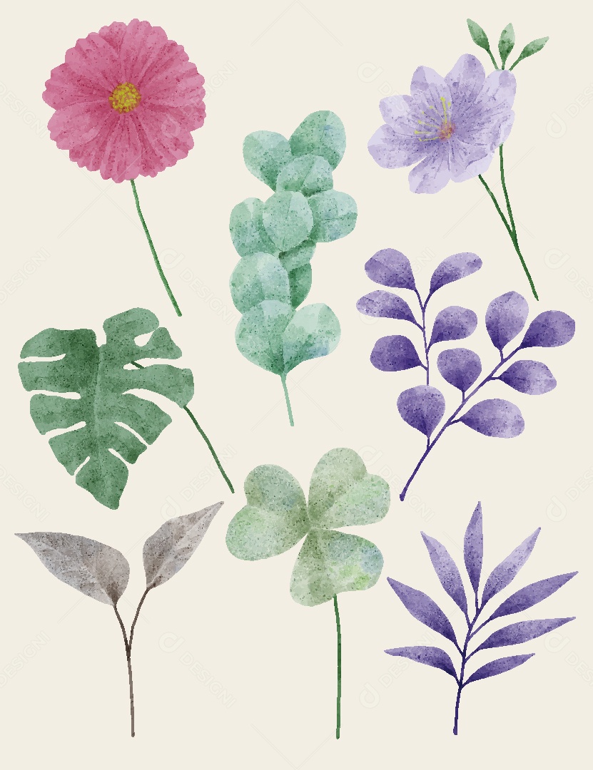 Conjunto de Flores em Aquarelas Ilustrações Vetor EPS