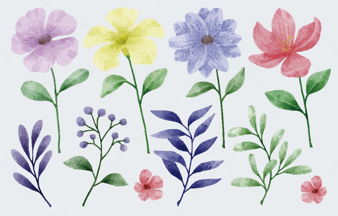 Conjunto de Flores em Aquarelas Ilustrações Vetor EPS