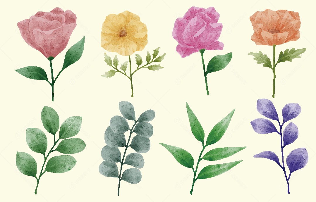 Conjunto de Flores em Aquarelas Ilustrações Vetor EPS