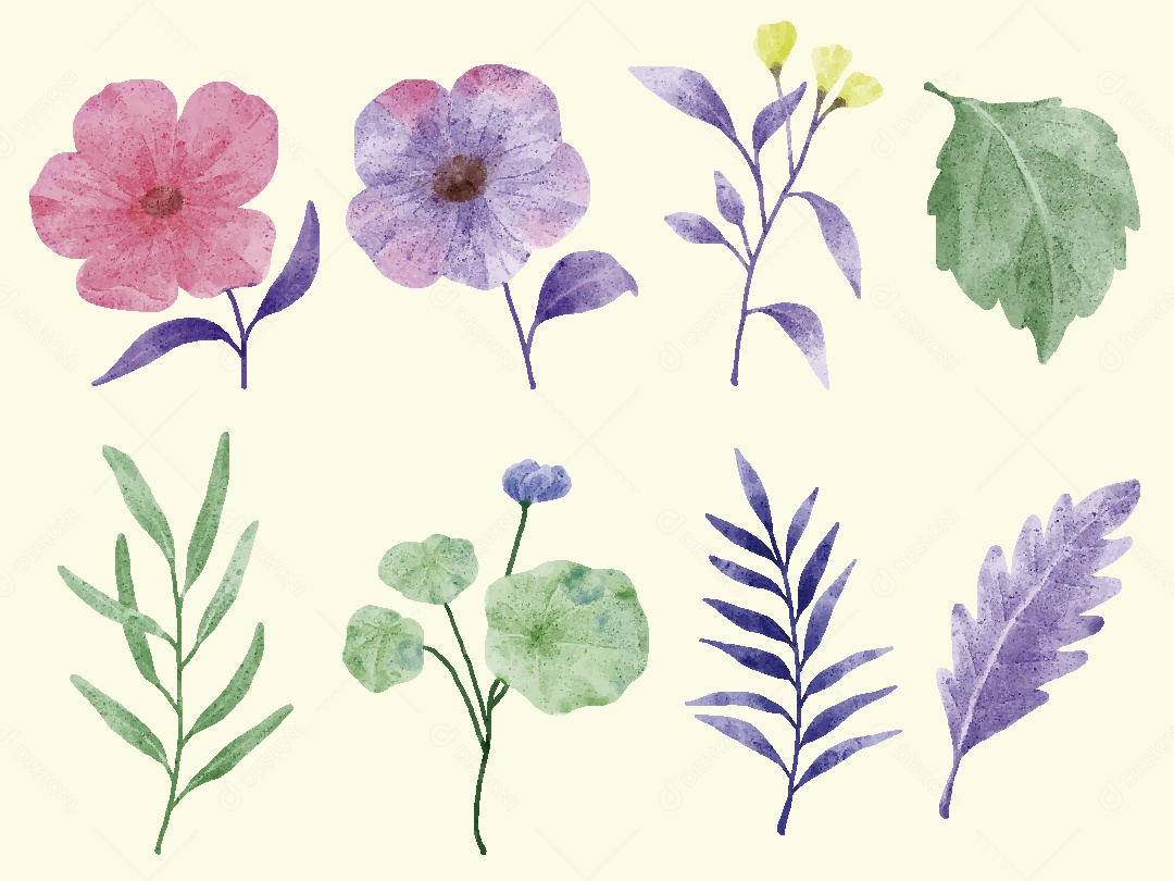 Conjunto de Flores em Aquarelas Ilustrações Vetor EPS