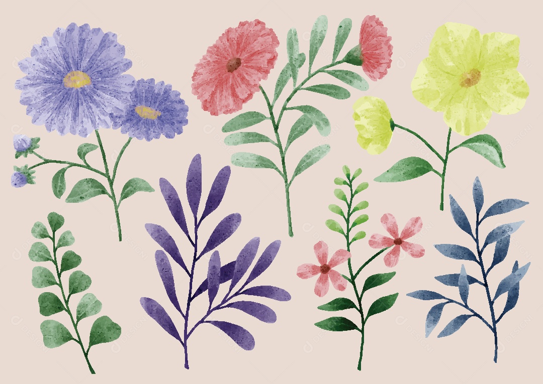 Conjunto de Flores em Aquarelas Ilustrações Vetor EPS