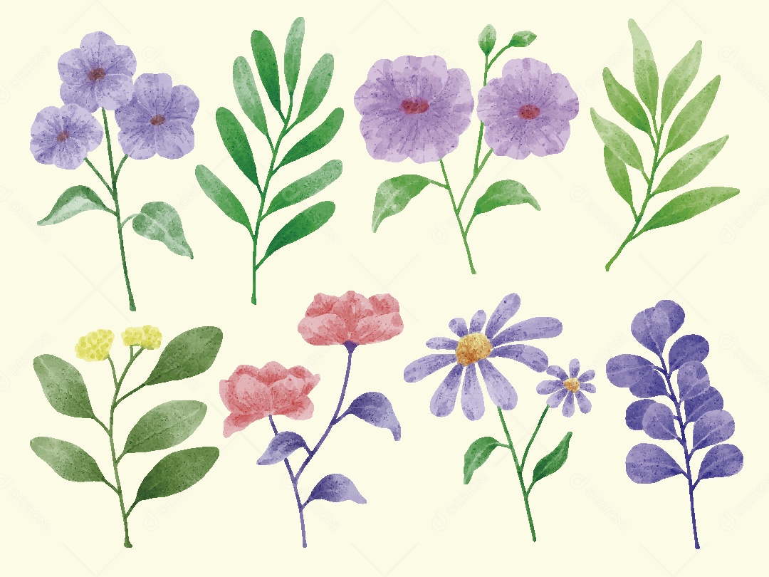 Conjunto de Flores em Aquarelas Ilustrações Vetor EPS