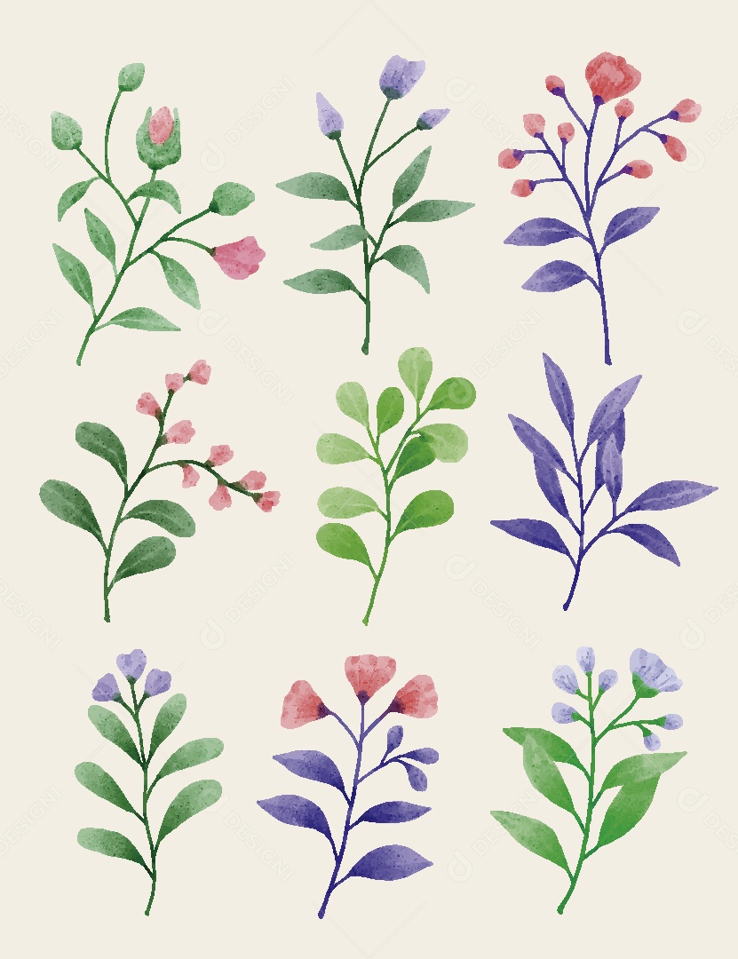 Conjunto de Flores em Aquarelas Ilustrações Vetor EPS