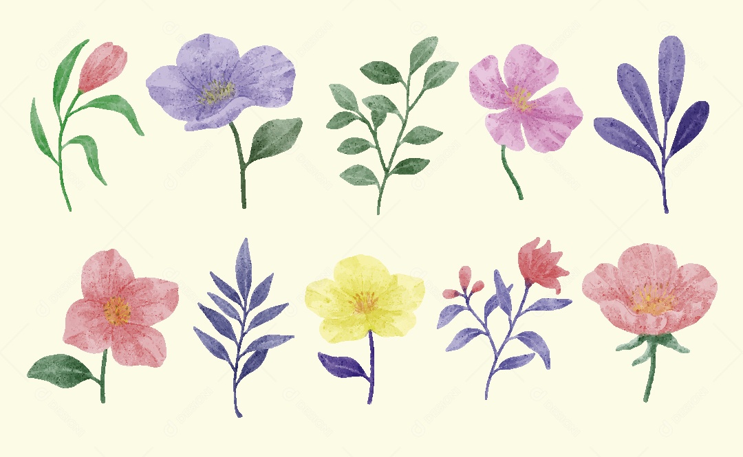 Conjunto de Flores Ilustrações Vetor EPS