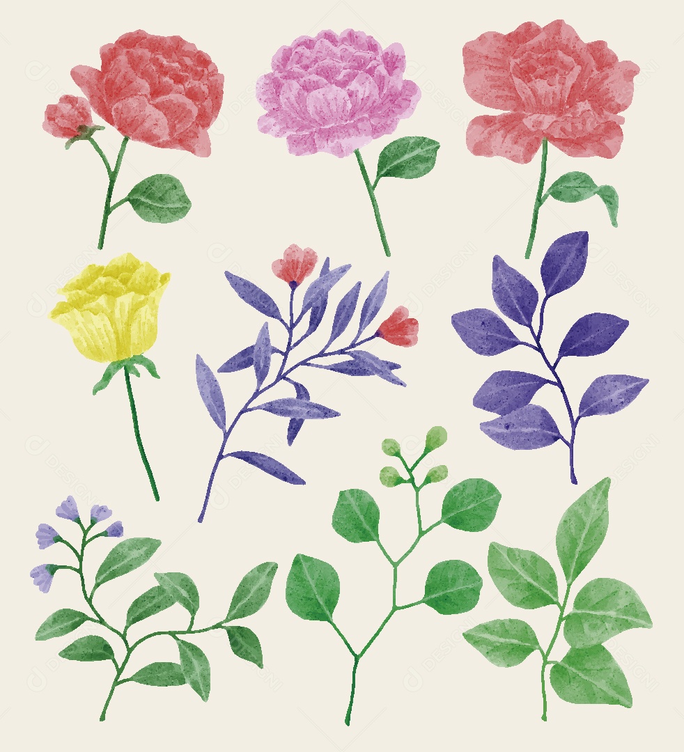 Conjunto de Flores Ilustrações Vetor EPS