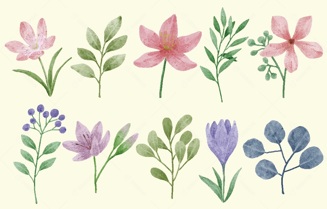 Conjunto de Flores Ilustrações Vetor EPS