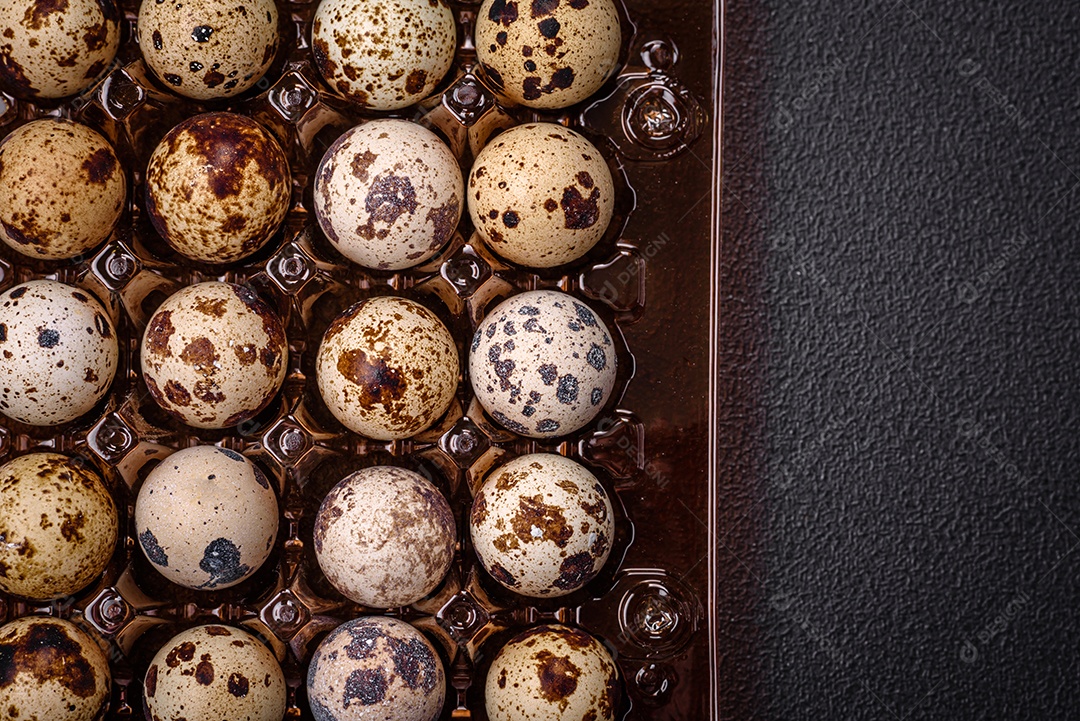 Ovos de codorna crus em uma caixa de plástico sobre um fundo escuro de concreto.