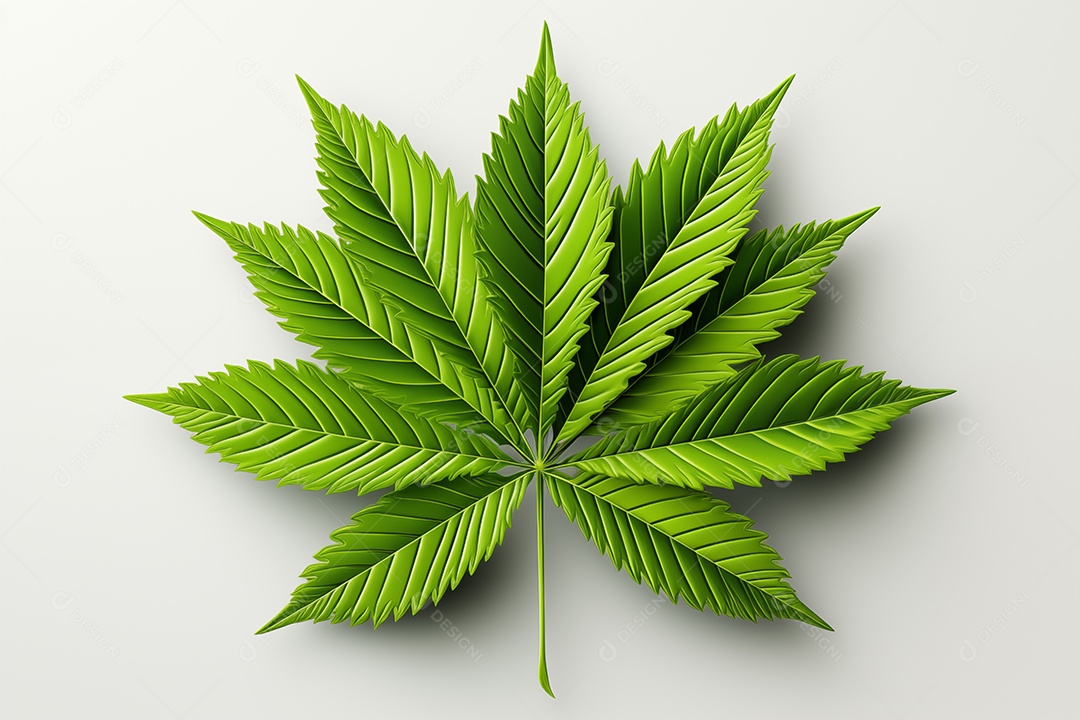 Cannabis deixa planta visão realista no jardim