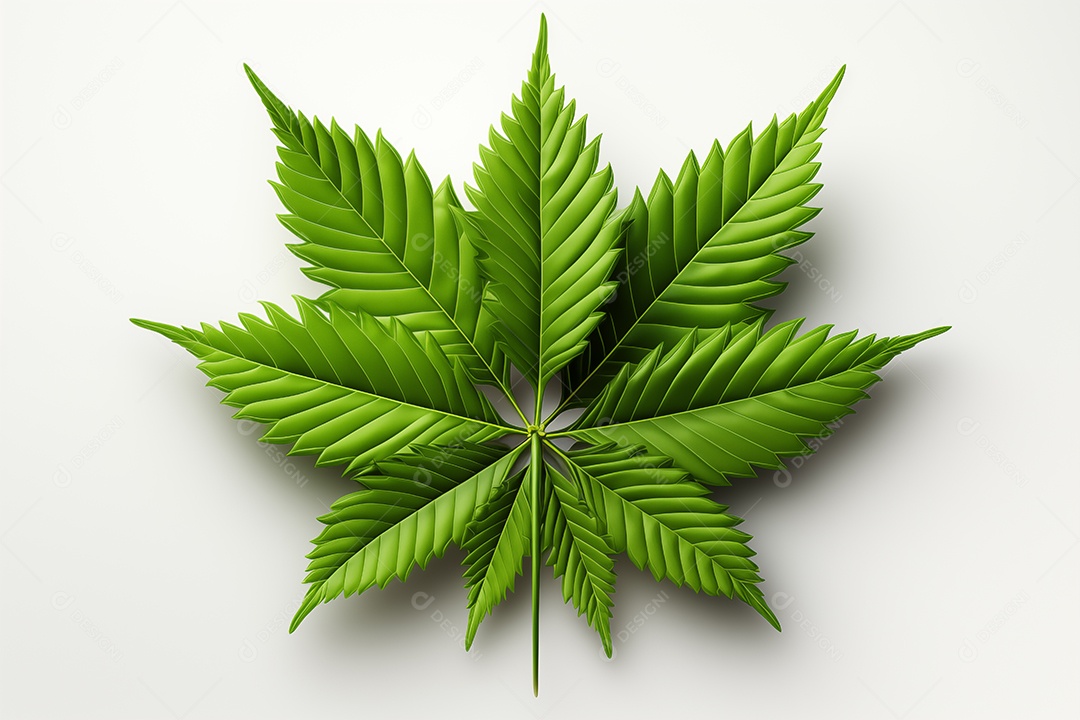 Cannabis deixa planta visão realista no jardim