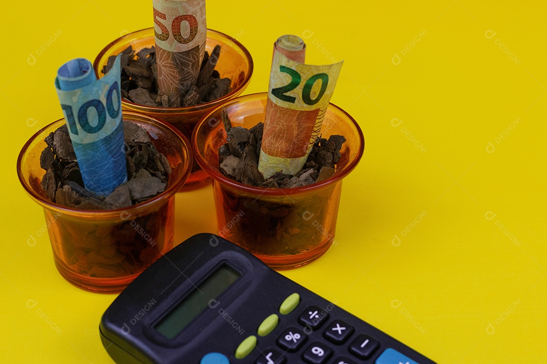 Dinheiro Brasileiro plantado em pote ou vaze e Calculadora sobre fundo amarelo