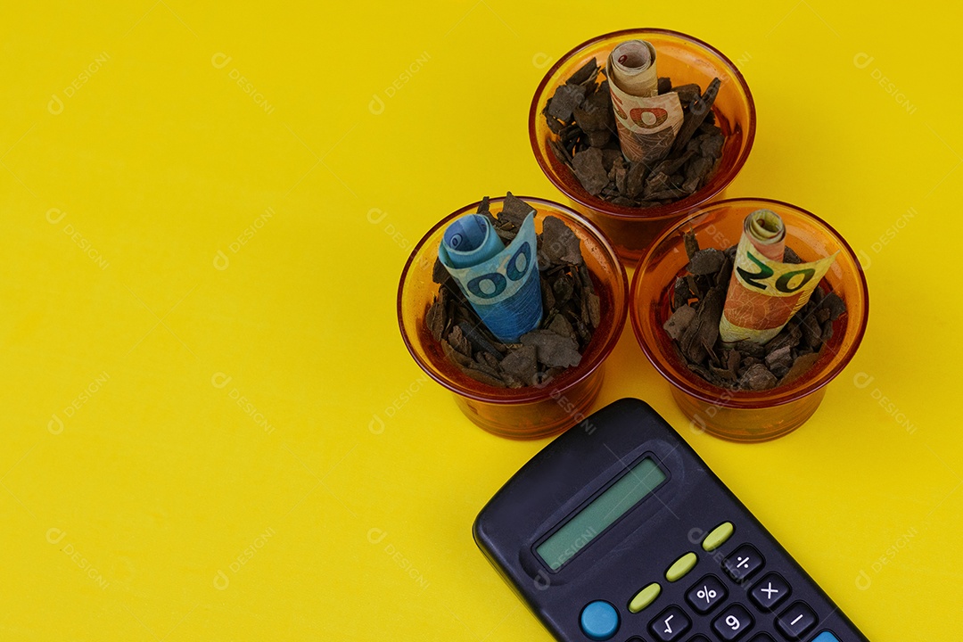 Dinheiro Brasileiro plantado em pote ou vaze e Calculadora sobre fundo amarelo