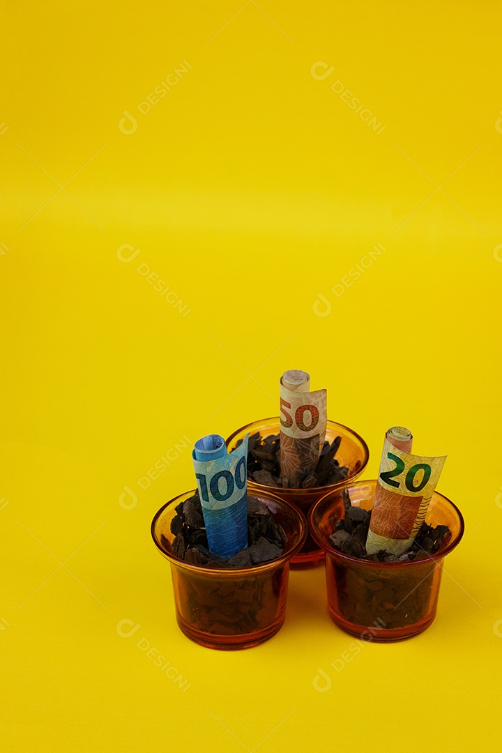 Dinheiro brasileiro plantado em vaso ou vaso sobre fundo amarelo